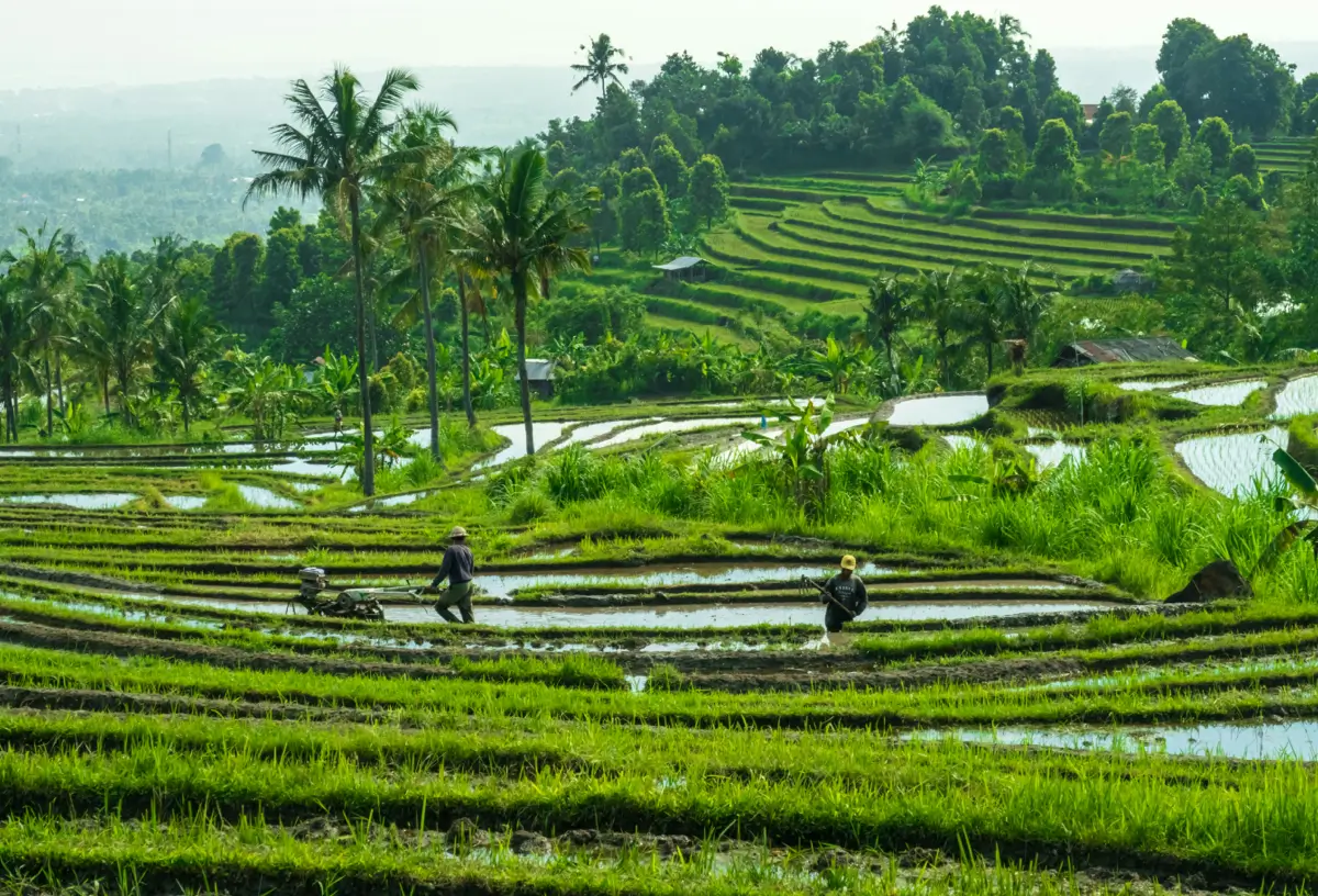 waar verblijven op bali